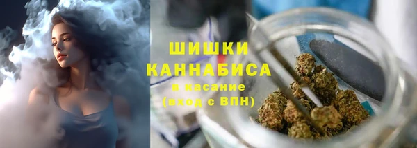 прущие грибы Лихославль