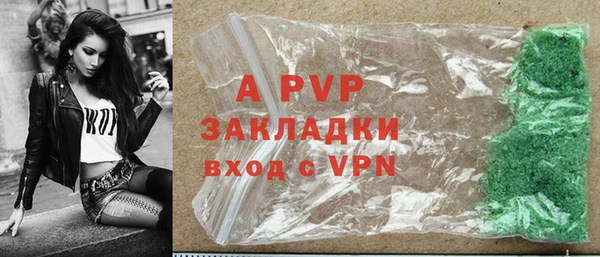 прущие грибы Лихославль