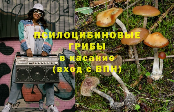 твердый Лиски