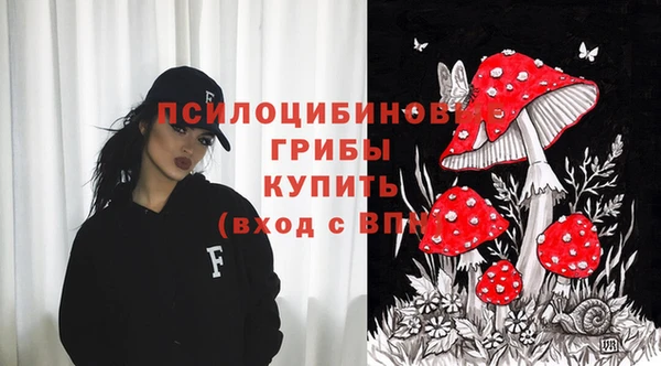 прущие грибы Лихославль
