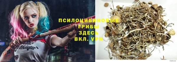 прущие грибы Лихославль