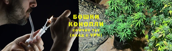 твердый Лиски