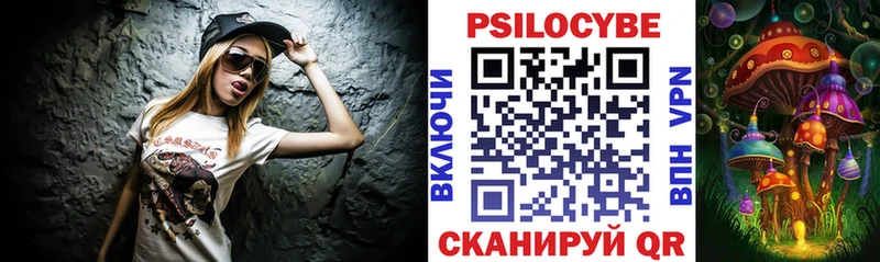 Купить  Железногорск-Илимский  Псилоцибиновые грибы Psilocybe 