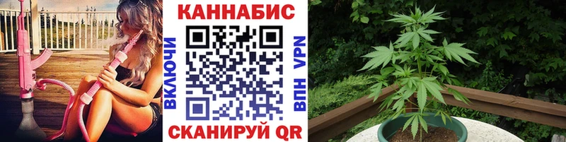 Конопля LSD WEED  Купить  Железногорск-Илимский 